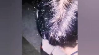 Aram Cosplay Babe Crawling With Tail Plugged To Her Ass Been A Good Pet Leaked Video