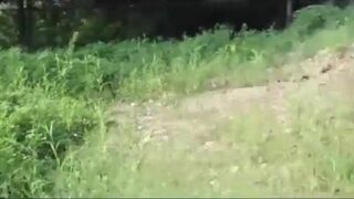 Asian Hot Chick Sucks Dick And Fuck Outdoors With A Stranger