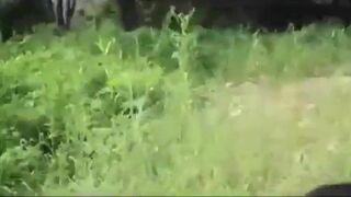 Asian Hot Chick Sucks Dick And Fuck Outdoors With A Stranger