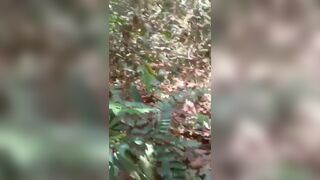 Asian Teen Shows Small Tits In The Jungle Video