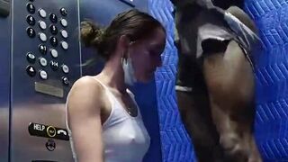 Horny Girl Gives Quick Blowjob In The Elevator Video