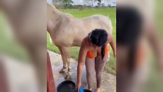 Busty Babe Flashing Her Big Tits While Washing a Horse Video