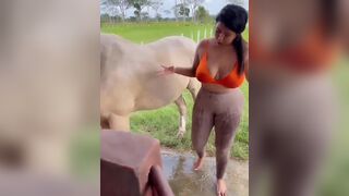 Busty Babe Flashing Her Big Tits While Washing a Horse Video