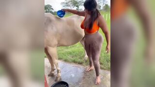 Busty Babe Flashing Her Big Tits While Washing a Horse Video