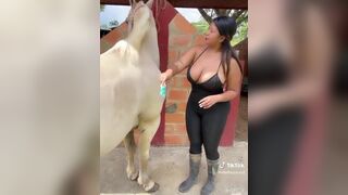 SteffyQuiroz2 Busty Babe Showing Off Her Big Titties While Brushing a Horse Video