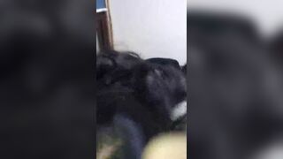 Horny Asian Girl Friend Gets Her Pussy Destroyed By Her Boy Friend Leaked Cam Video