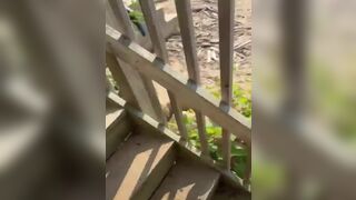 Horny Tatooed Pretty Asian Babe Gets Hardcore Fuck At The Beach