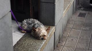 Luna Okko SEX VLOG IN THE CANARY ISLANDS - LUNA’S JOURNEY (EPISODE 31)