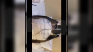 Amazing Asian Teen Girl Fucked hard On a Hotel Room leaked Video