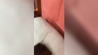 Pretty Asian Doll Getting Hammered With big Cocks Gangbang Video