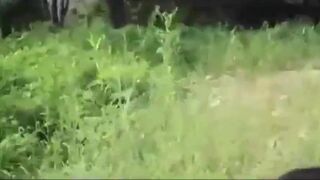 Amateur Asian Gf Getting Fucked On a Park Outdoor Cam Video