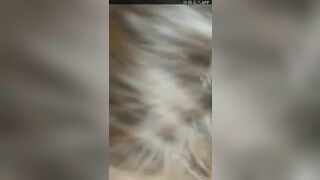 Amateur Asian Girl Licking And Sucking hairy Bf Cock Video