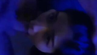 Submissive Asian Getting Facefucked Cam Video