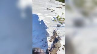 Slutty Girl Doing Amazing Blowjob While On a Hike Video