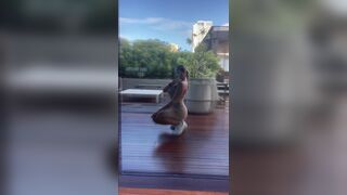 Big Booty Asian Hoe Hot Sexy Mirror Cam Video