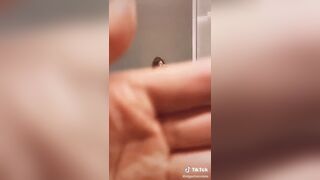 Olgachocolate Cute Asian Babe Hot Tiktok Video