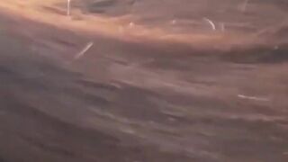 Asian Girl Shaking Her Booty Video