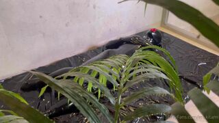 Eri Kitami Asian in a Latex Suit Showing Off On Floor Onlyfans Video