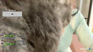 Han Jina Showing off her Big Boobies On Live Cam Video