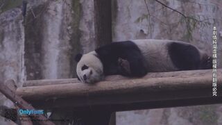 Monmontw Sex Vlog In Taipei Video