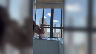 Asa Akira Playing With Her Pussy Near Apartment Window Video