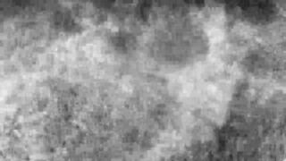 Busty Asian Latina Sucking A Big Fat Cock and Gets Banged Hard In Doggystyle Video