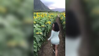 Sexy Asian In a Sexy Dress Showing Off While Walking On a Sunflower Field Video