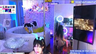 AsianBunnyx Oily Nipple Tease Live Stream Porn Leak