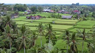 Cute Asian Banged Her Wet Pussy And Ass With BWC Porn Video