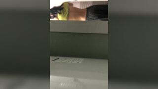 Topless Asian Gf Gets Exposed To Her Bf In Bathroom Leaked Video