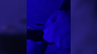 Big Booty Babe Swinging Her Hot Ass On Bed Video