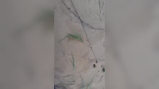 Hot Asian Babe Gets Her Pussy Stretches Before He Cums On Her Face Video