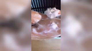 Kyomichase Asian Curvy Babe Showing Booty and Wet Tits While Showering Video