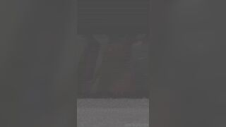 Erikakire Asian Slut Showing Her Booty and Boobs While Showering Tiktok Video