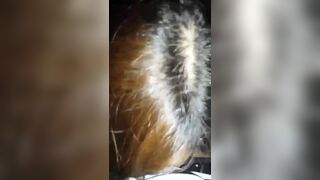 Sexy Koren Babe Sucking Her BF's Cock Hard Leaked Video