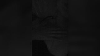 Amateur Asian Babe Showing Off On The Bed Video