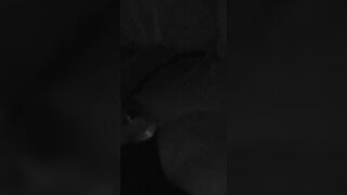 Amateur Asian Babe Showing Off On The Bed Video